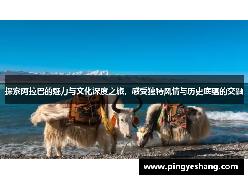 探索阿拉巴的魅力与文化深度之旅，感受独特风情与历史底蕴的交融