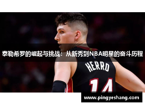 泰勒希罗的崛起与挑战：从新秀到NBA明星的奋斗历程